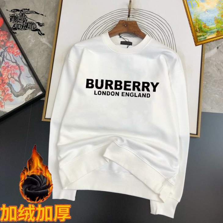 Picture of Burberry Sweatshirt _SKUBurberryM-3XL11Lr23830692